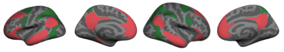Four flat brain renderings (left hemisphere lateral and medial, right hemisphere lateral and medial) shaded with the Dorsal Attention Network regions in green and the Default Mode Network regions in red.